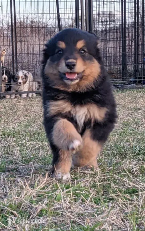 Chloe